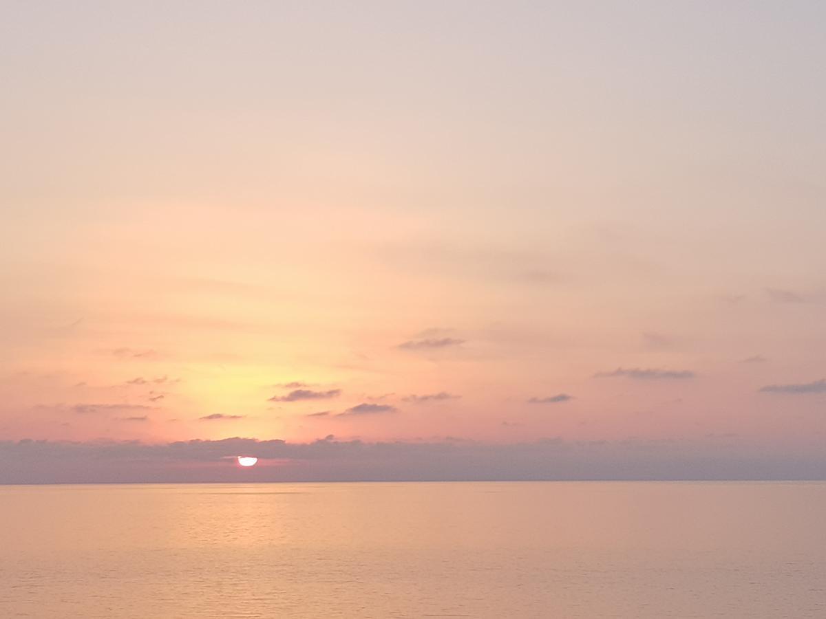 Apt Khimshiashvili 11 Lägenhet Batumi Exteriör bild